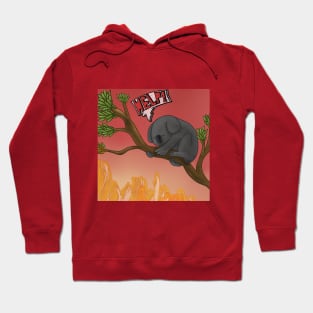 Australia in fire Hoodie